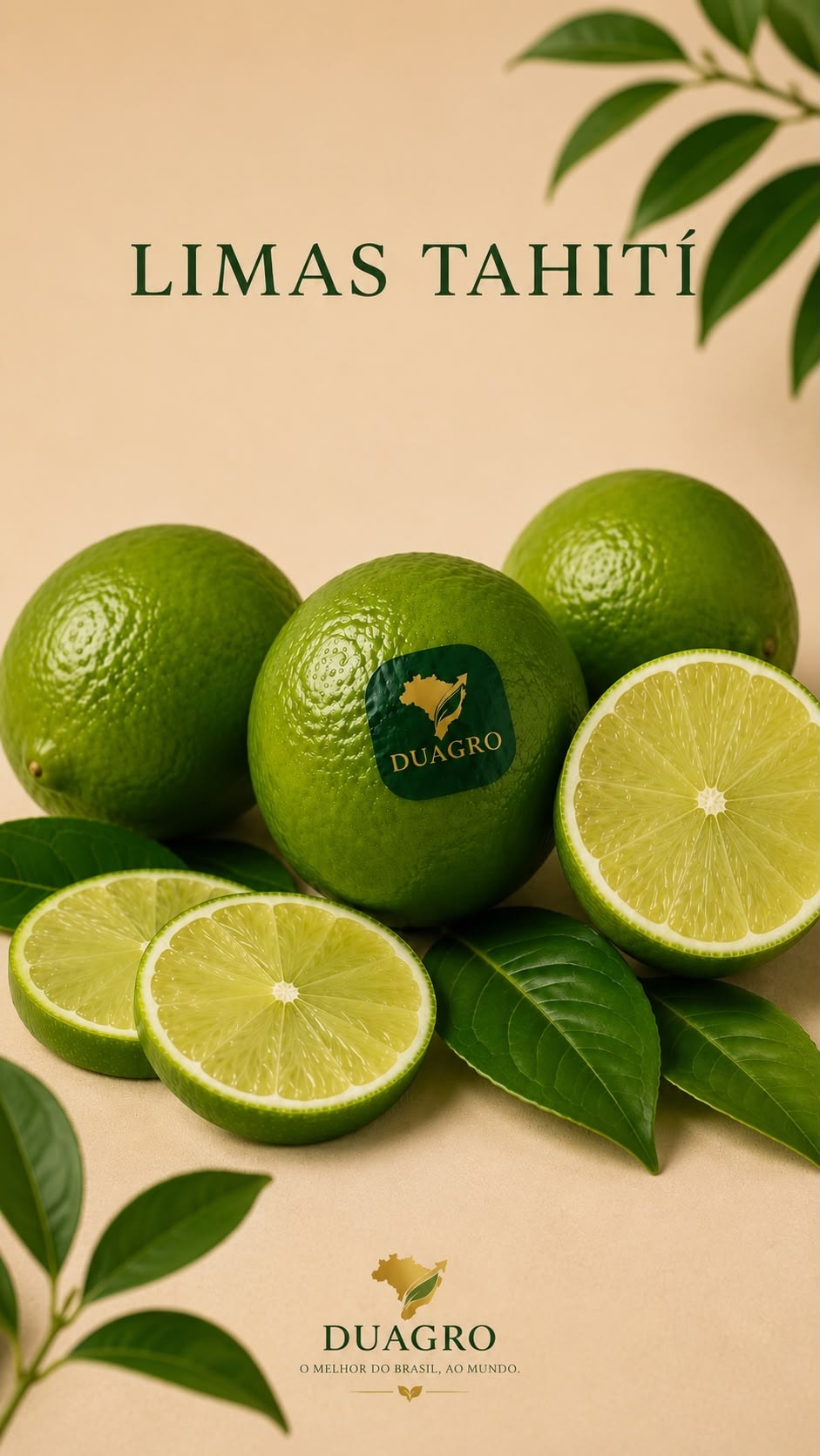 Lima Tahiti fresca — DuAgro exportação